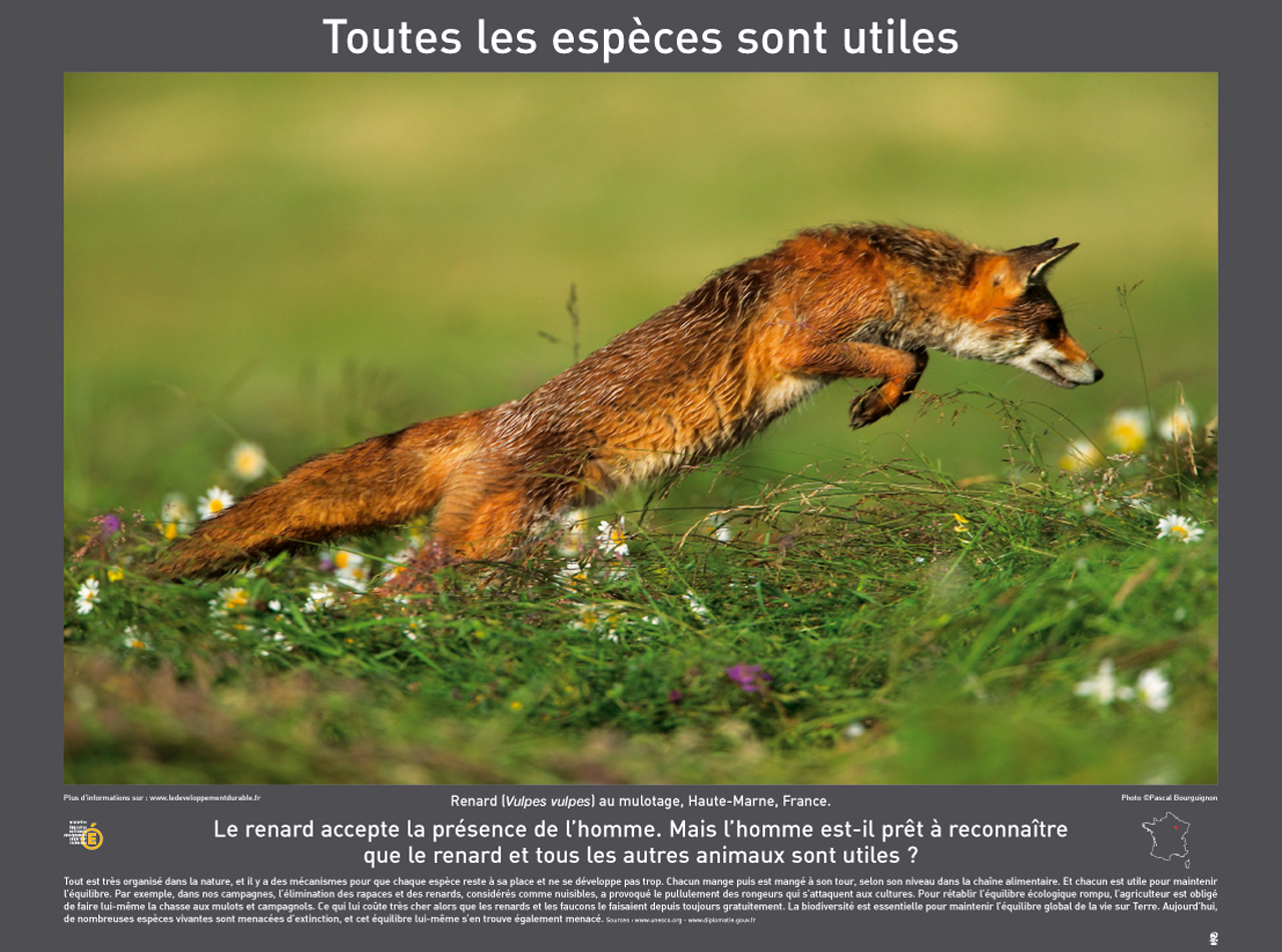 biodiversité9